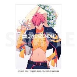 SSSS.DYNAZENON  メモリアルブック SSSS.DYNAZENON メモリアルブック SSSS.DYNAZENON ダイナゼノン