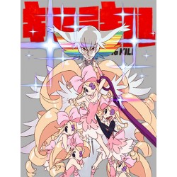 美品　キルラキル　Blu-ray　BOX（完全生産限定版） trigger Amazon.co.jp | キルラキル (完全生産限定版) 全9巻セット
